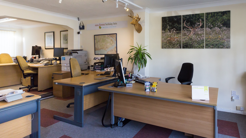 New Forest Holiday Lets Brockenhurst - our offices with deer