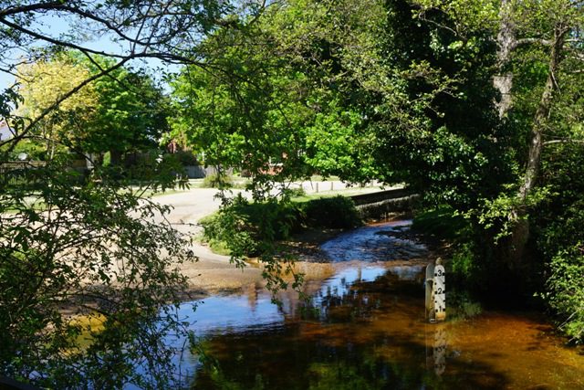 Brockenhurst, New Forest.